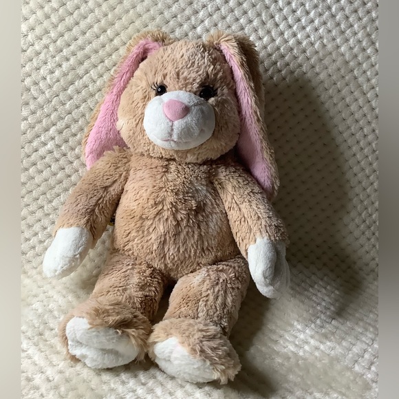 Build-A-Bear Other - Build a Bear Workshop Cinnamon Swirls Bunny Rabbit Plush Stuffed Animal BABW